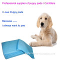 Puppy Training Pad for Your Lovely Dog
